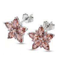 Pendientes Brosway Mujer FANCY - TENDER PINK in Plata FTP29